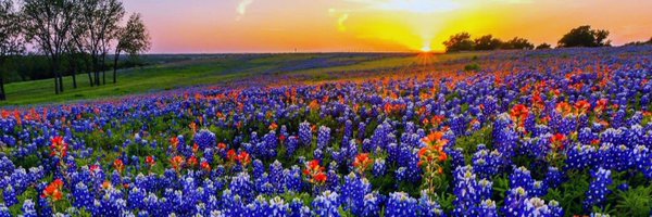 TiffyJene Profile Banner