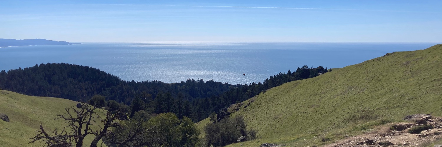 Sarah K Moir is on Mastodon banner