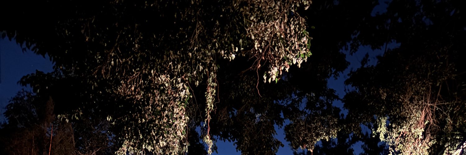 ebch72's profile banner image