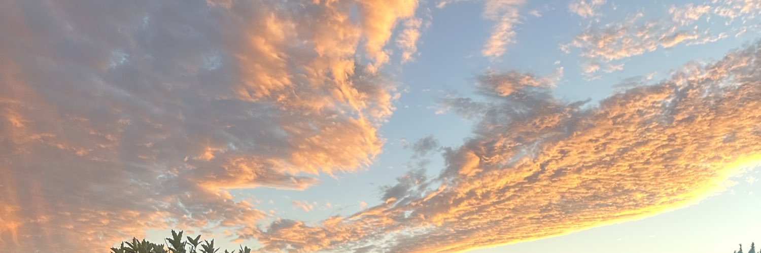 brinkleey_'s profile banner image
