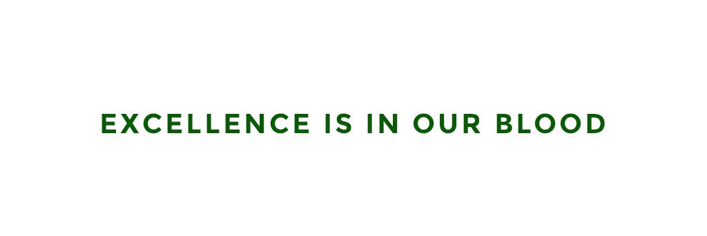 NaijaMadeMe's profile banner image