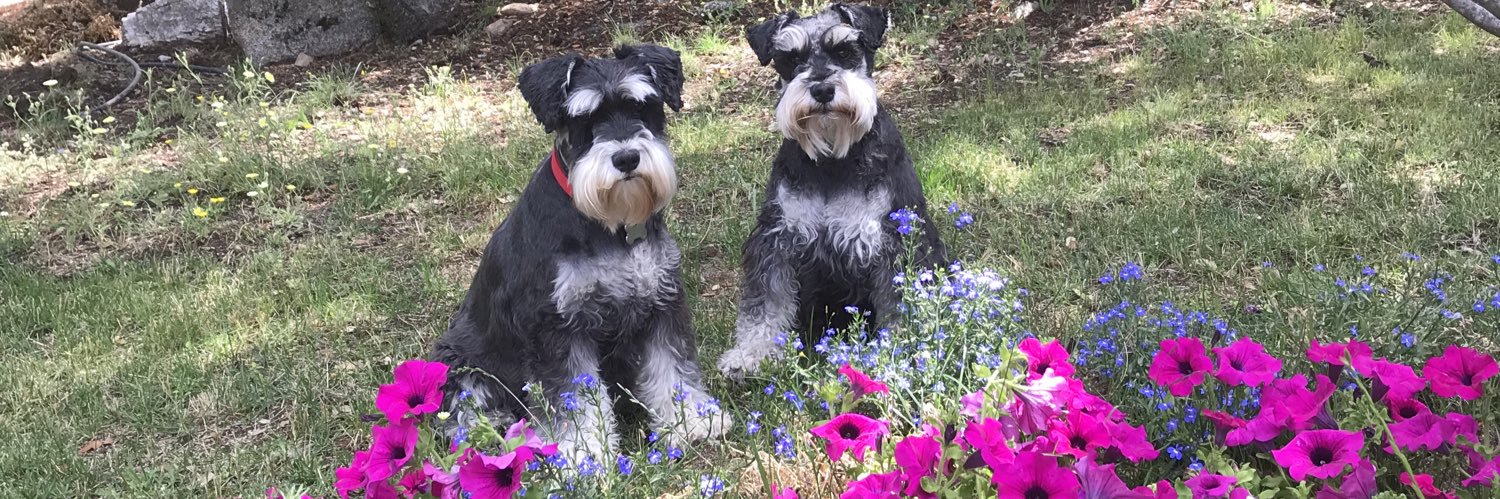 Ch. van Eijck-Aymerich banner