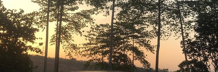 Sipapujiani's profile banner image