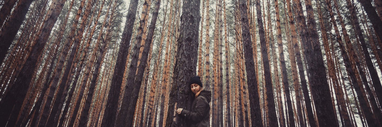 Alex_Kis's profile banner image