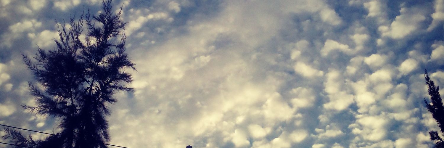 SamiithaMontiel's profile banner image