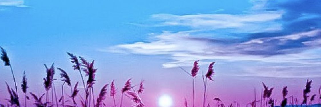 alshareif_dr's profile banner image