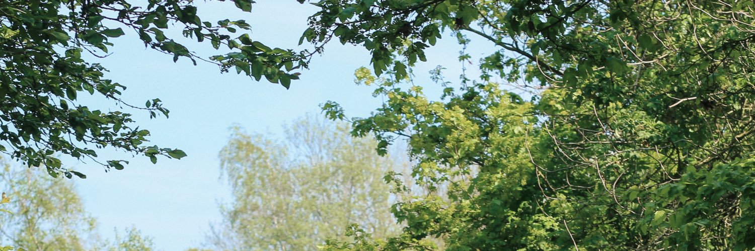 Bianca Jones banner