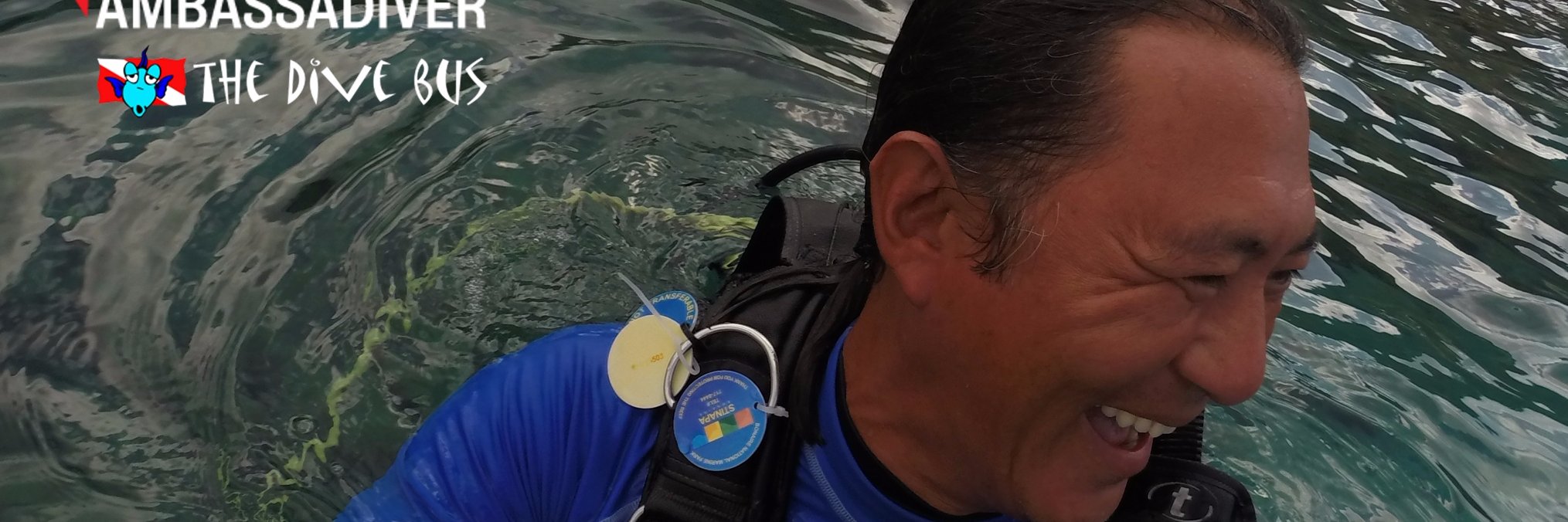 divebusmark's profile banner image