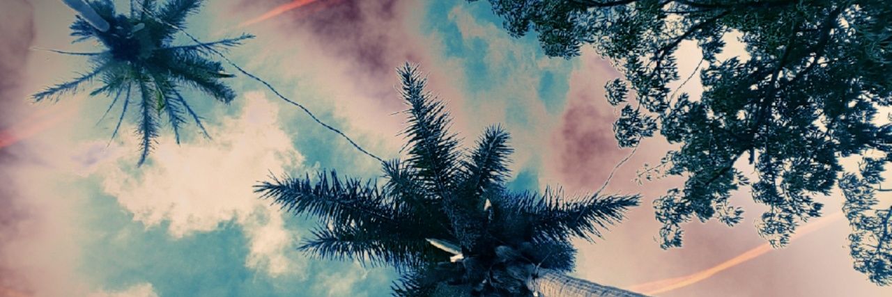 katialossio's profile banner image