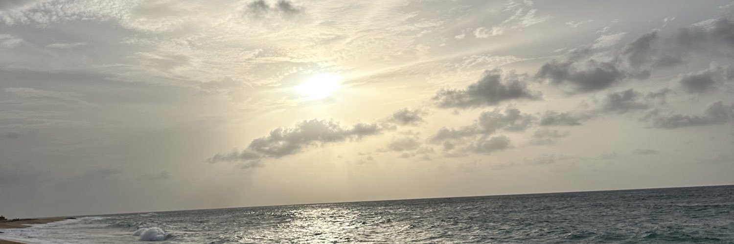 Llineris's profile banner image