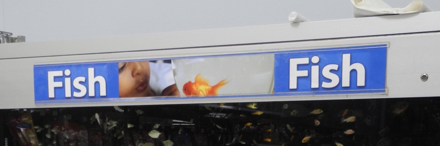 JGougler's profile banner image