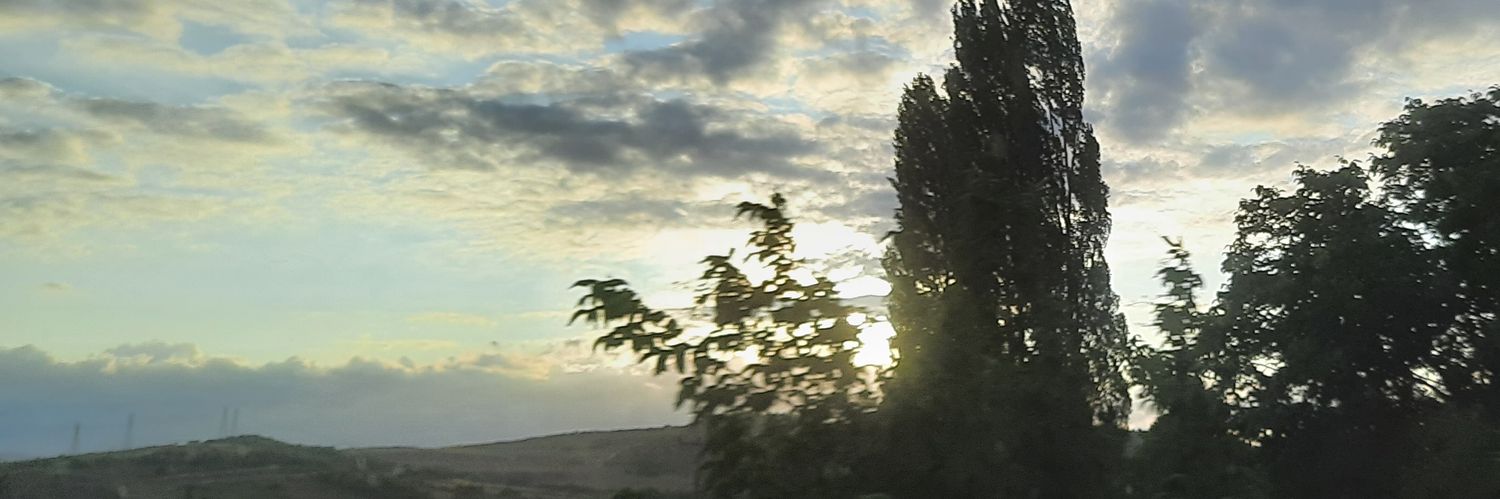 TugbaCelikkol's profile banner image