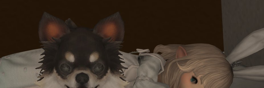 rapiusm's profile banner image