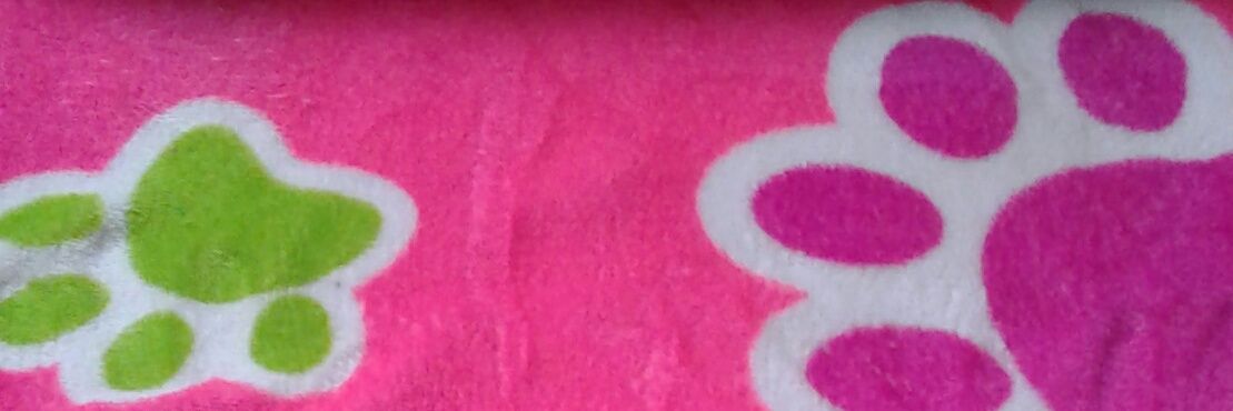 Confecciones Clarol banner