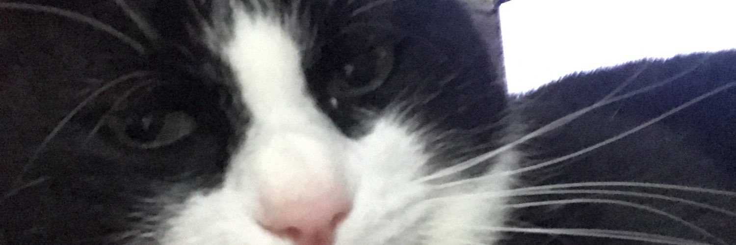 lemank2's profile banner image