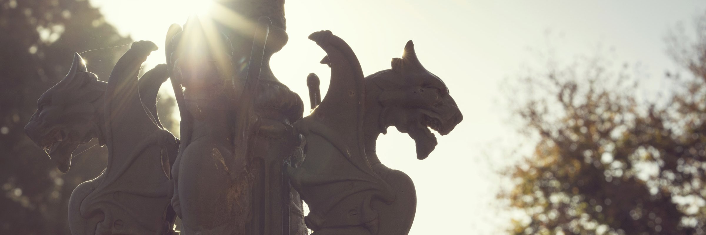 rossjardine's profile banner image