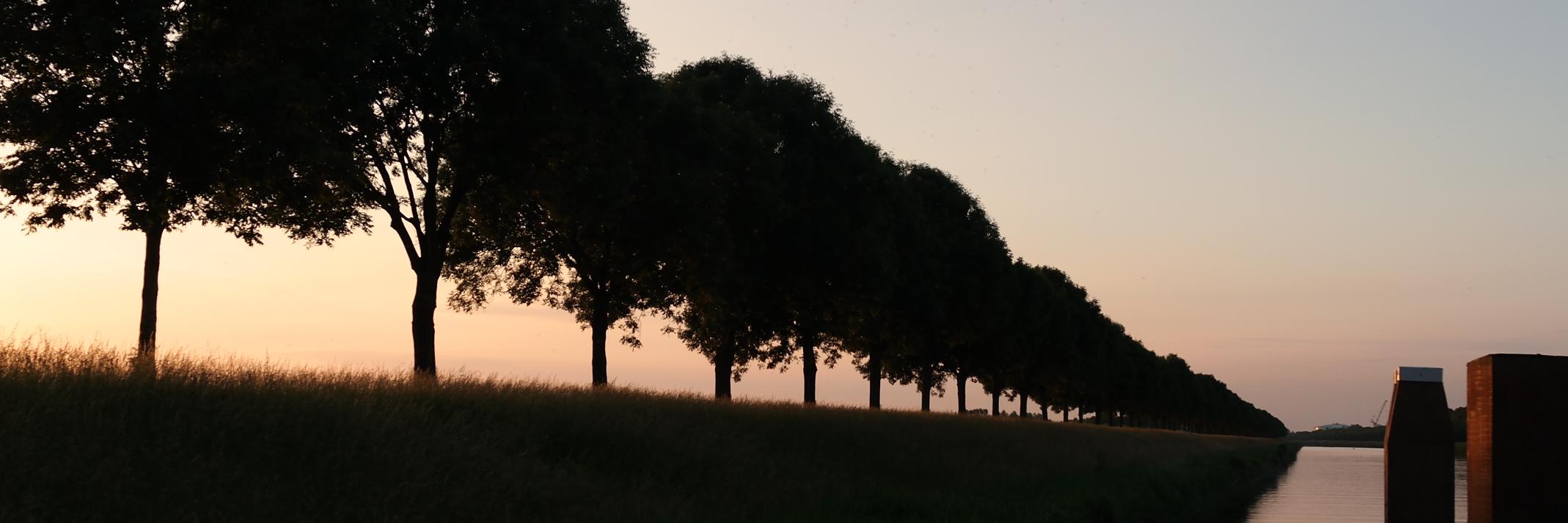 Richard van de Brand banner