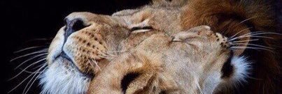 Dolinaaa's profile banner image