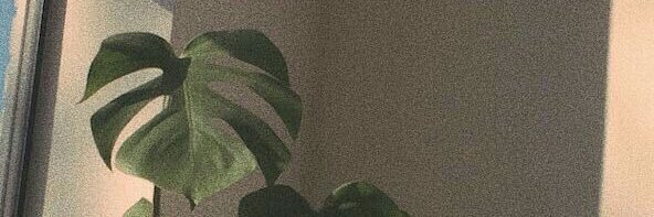 sinemtuglu's profile banner image