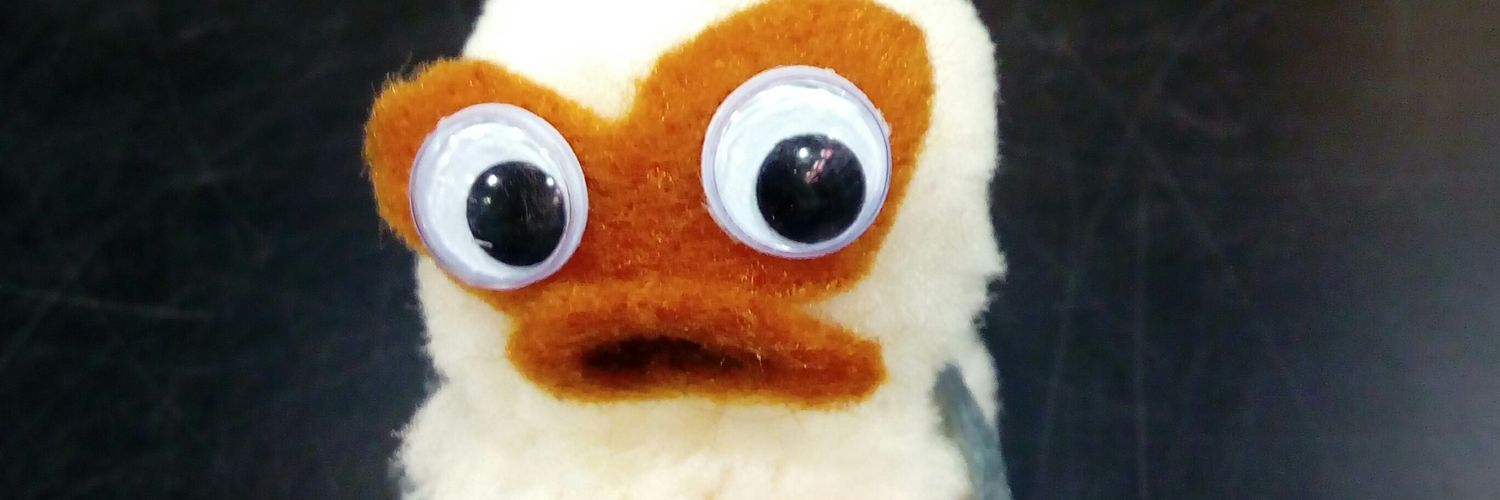 hillvanessa49's profile banner image