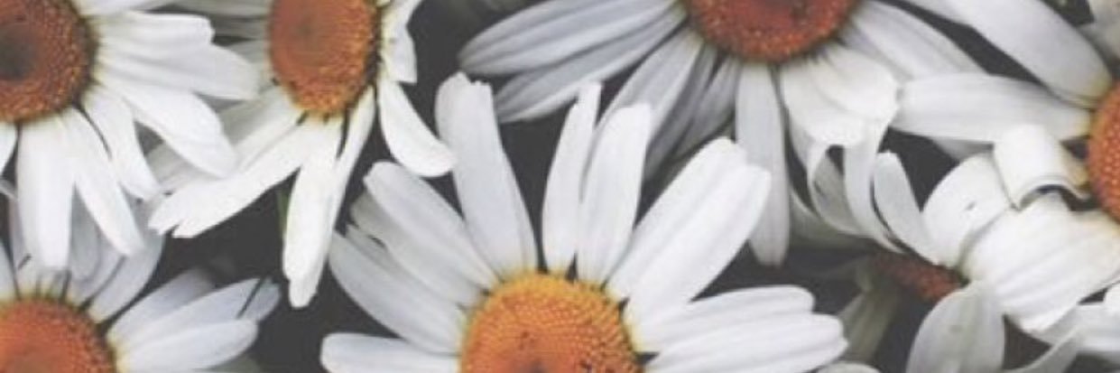 MariaRodal's profile banner image