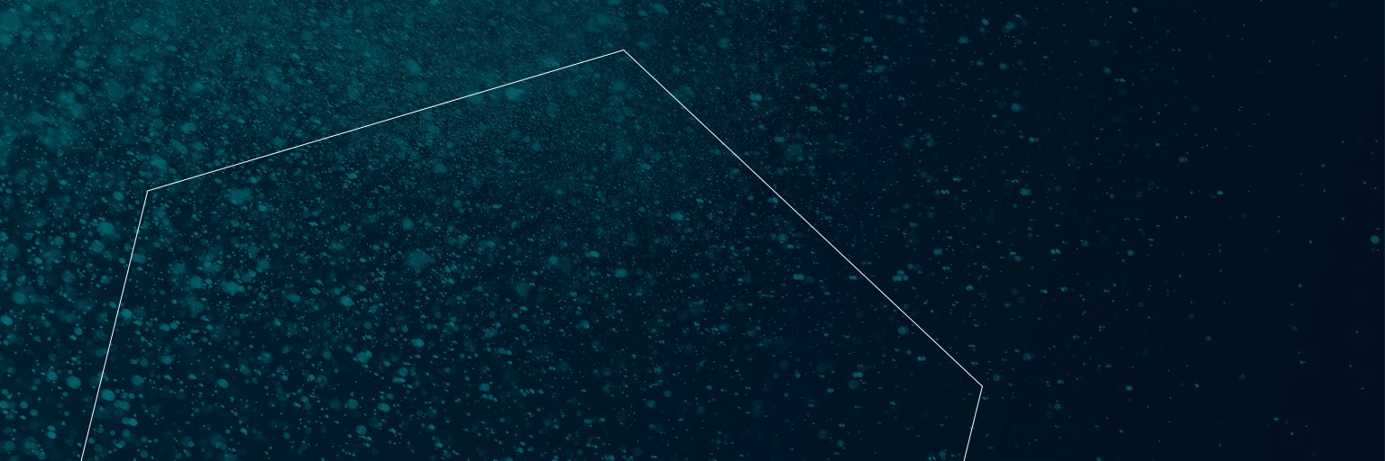 HauzerTechnoCoating banner