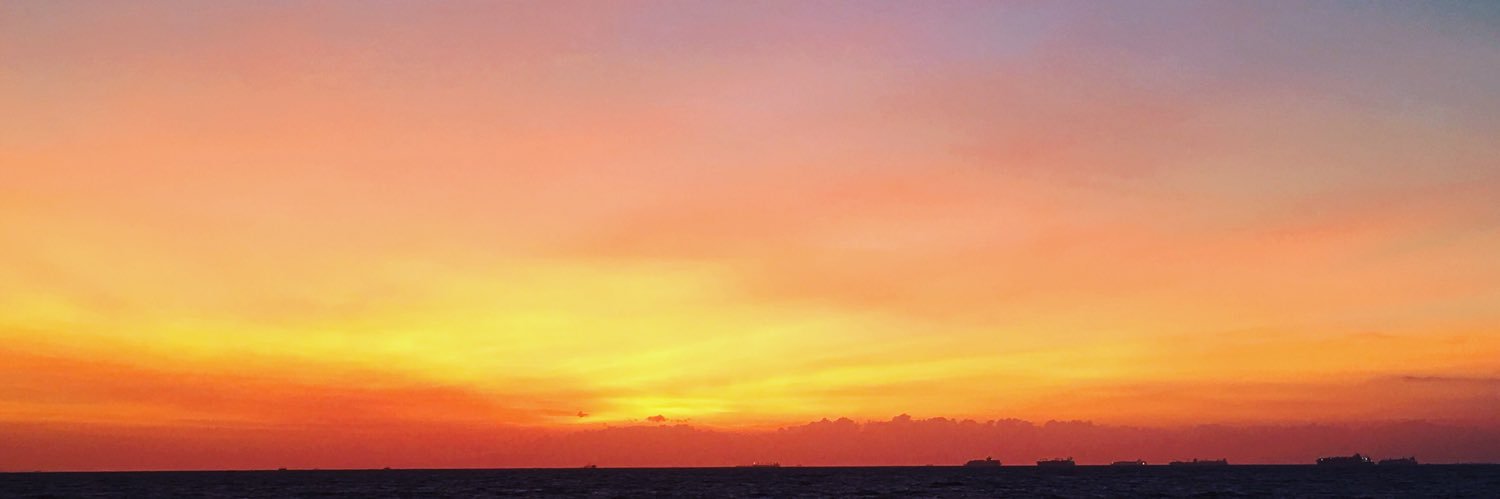 🌸 ann 🌸 banner