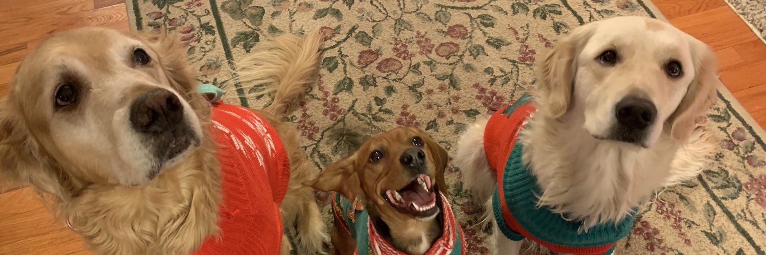 juulierichh's profile banner image