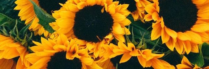 chelsparksx's profile banner image