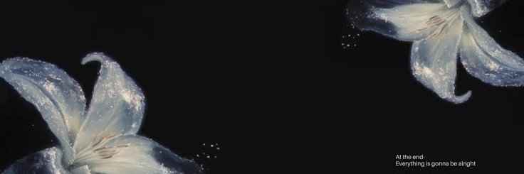 estwatch's profile banner image