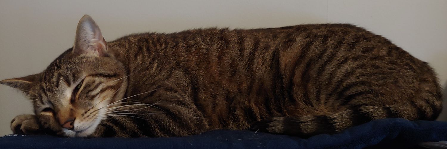 Kate5cz9's profile banner image