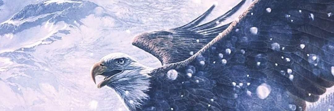 aakguc's profile banner image