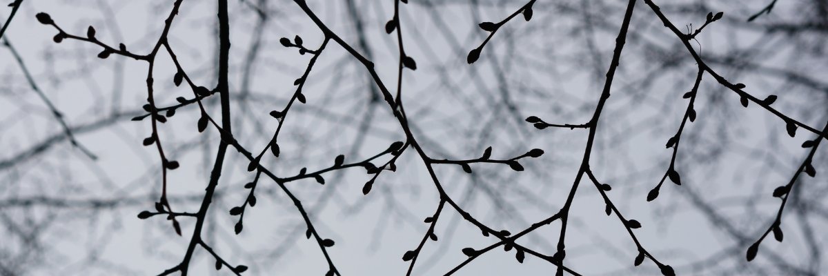 adjoud HD18+ Sexy Baby US Bokep banner