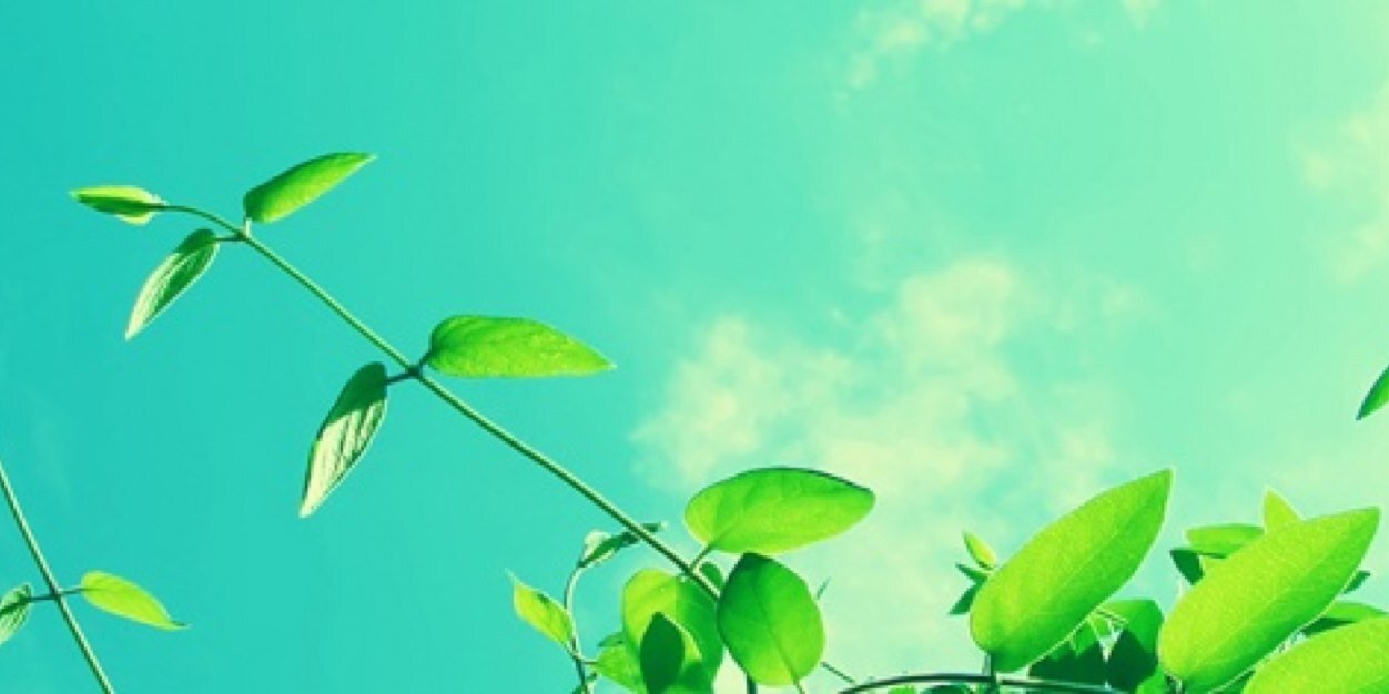 BrendVaG's profile banner image