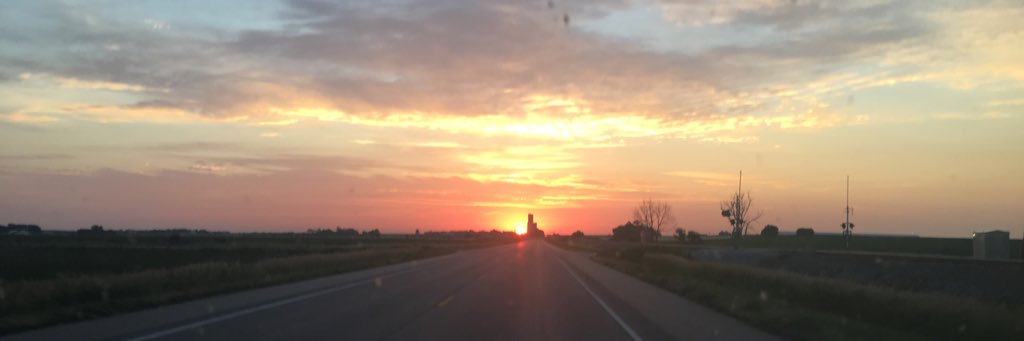 mongowantsitall's profile banner image