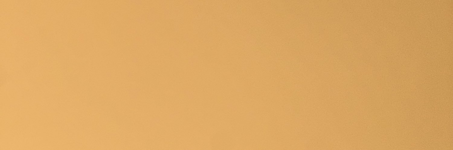 apedrozoo's profile banner image