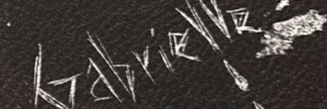 Gabrielle de Lioncourt🩸 banner