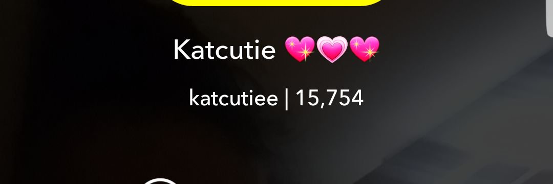 katcutiee's profile banner image