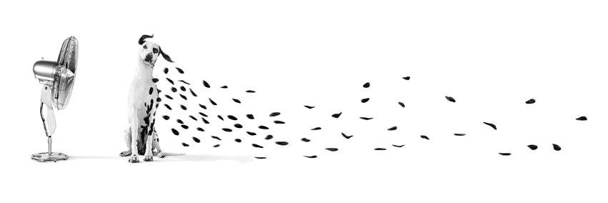 CorbettSocial's profile banner image