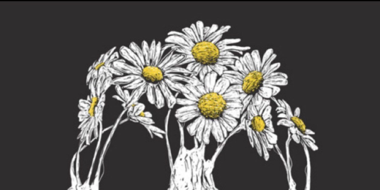 lisabethhaley's profile banner image