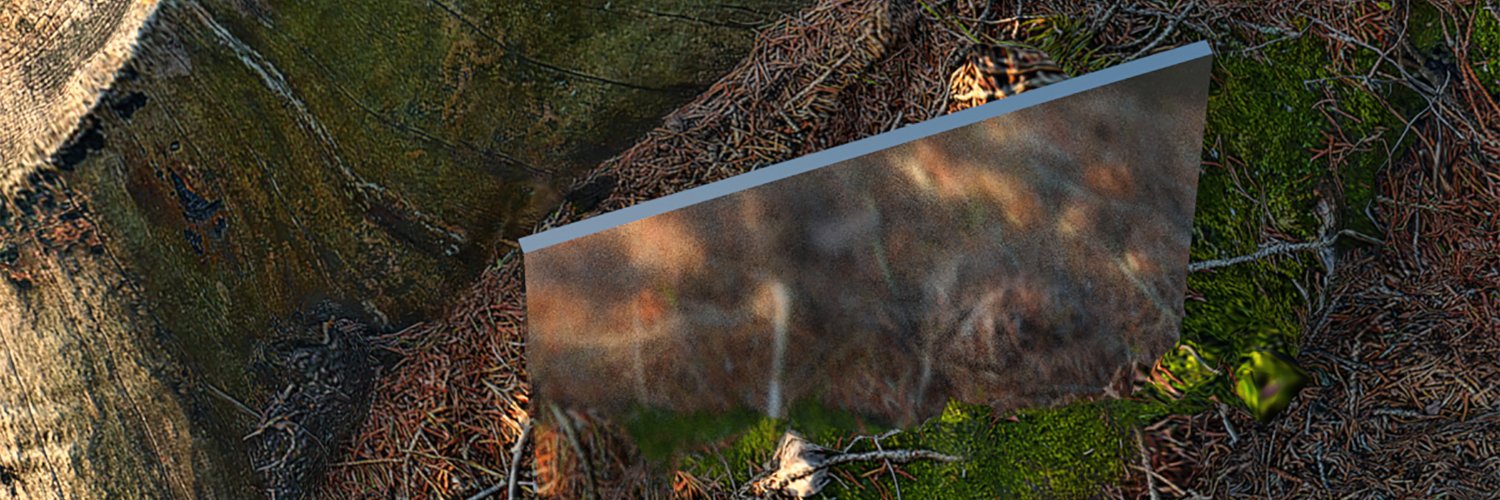 Halfof8's profile banner image