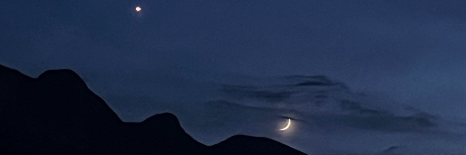 fridaurus's profile banner image