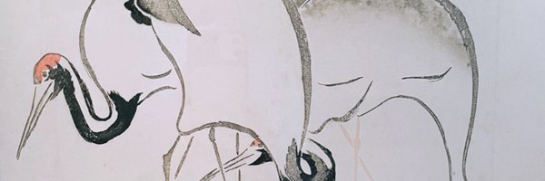 PierreEliasMD Profile Banner