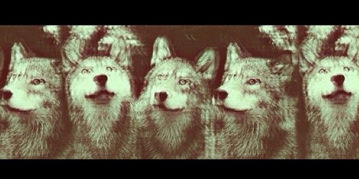 HM_Sourcebreed's profile banner image