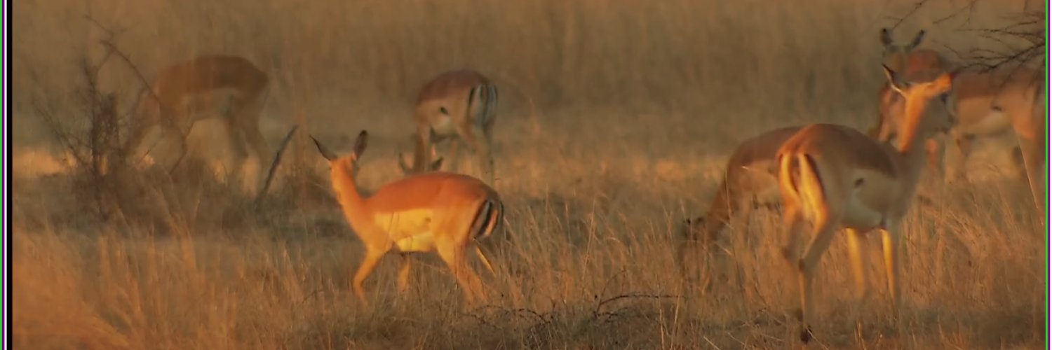 The Enlightened Boomer banner