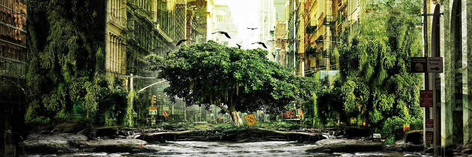 DctrParnassus's profile banner image