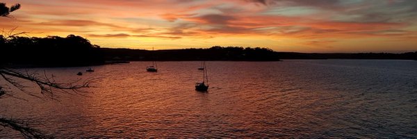 PatriciaGadd Profile Banner