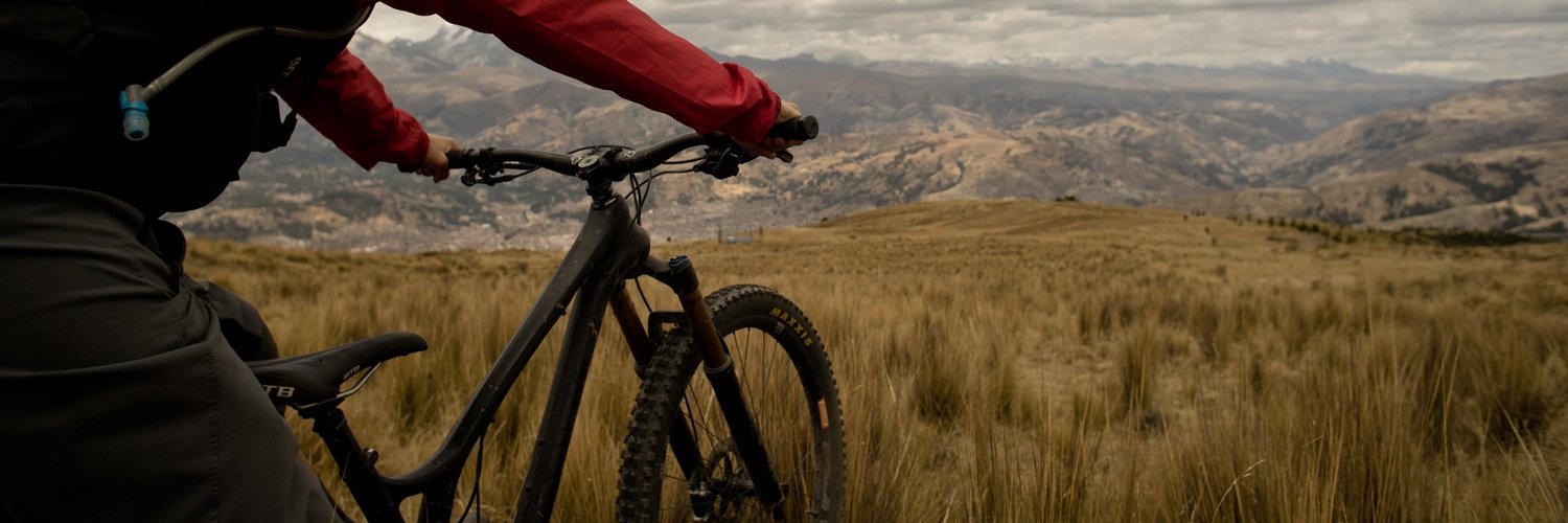 Elladee Brown banner