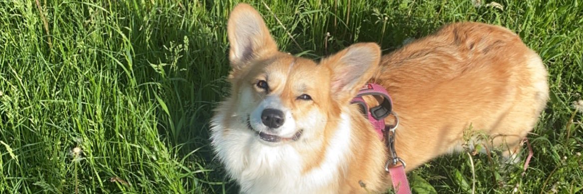 CWietholter's profile banner image