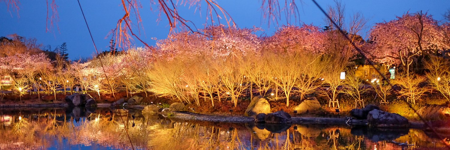 Ｍａｕｌａ ♪ banner